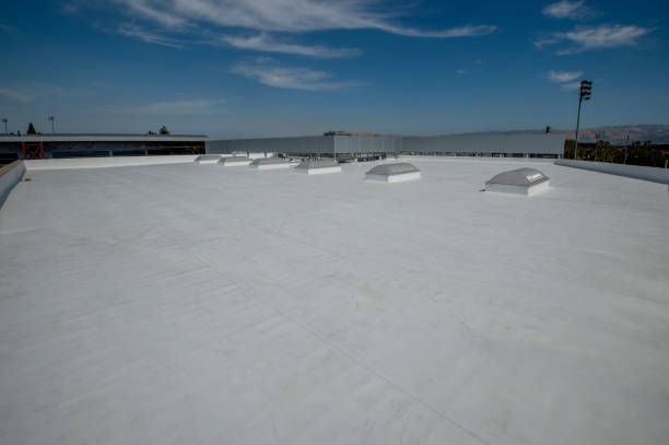 Best Roof Insulation Installation  in Berlin, MD
